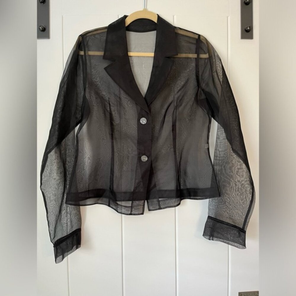 Vintage Black Sheer Organza Blazer